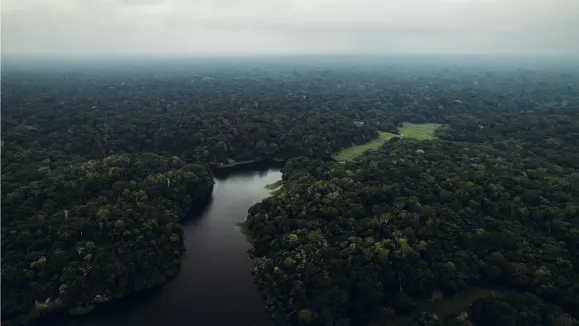 COP 30: Termômetro do GRI antecipa expectativas do setor de infraestrutura